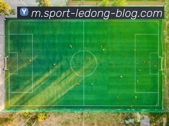 乐动体育平台生态图