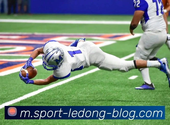 乐动体育APP 封面图