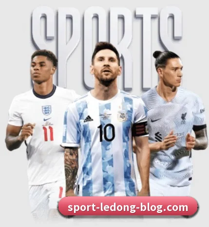 我们在做什么（LDSPORTS）